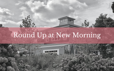 Round Up at New Morning Market